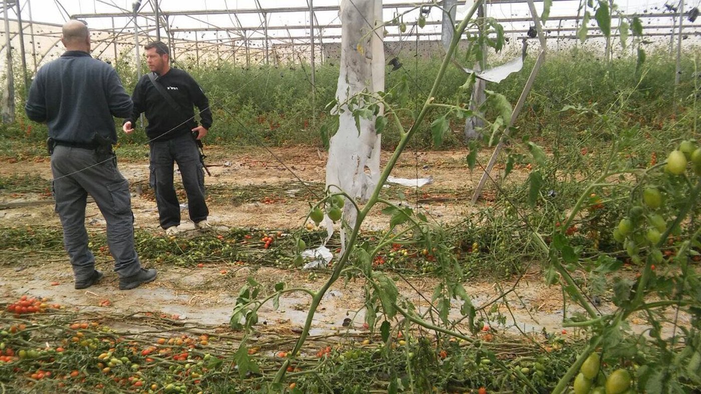 רקטה נורתה מסיני ונפלה בתחומי ישוב בדרום; אין נפגעים