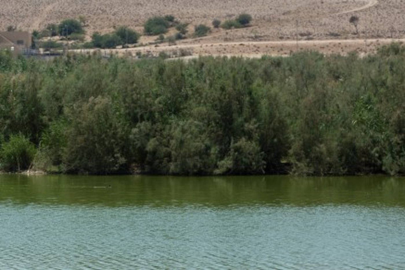 אגם ירוחם.