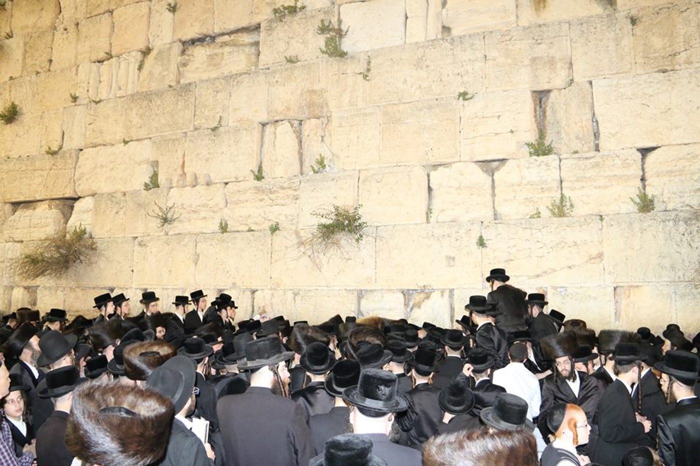 הרבי מויז'ניץ ואלפי חסידיו בכותל המערבי • תיעוד מדהים
