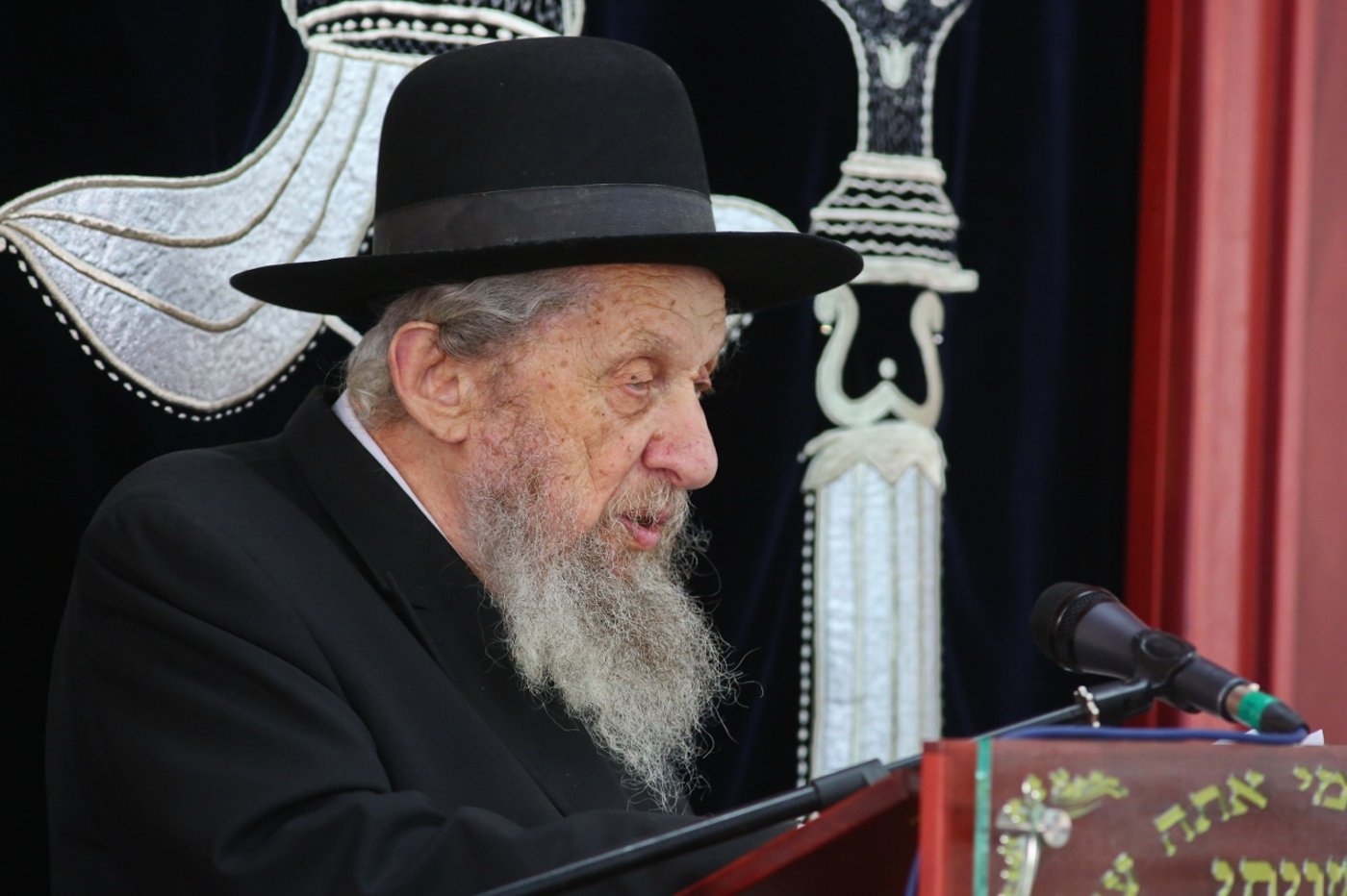 המסע של הגאון רבי דב לנדו בבית שמש • תיעוד