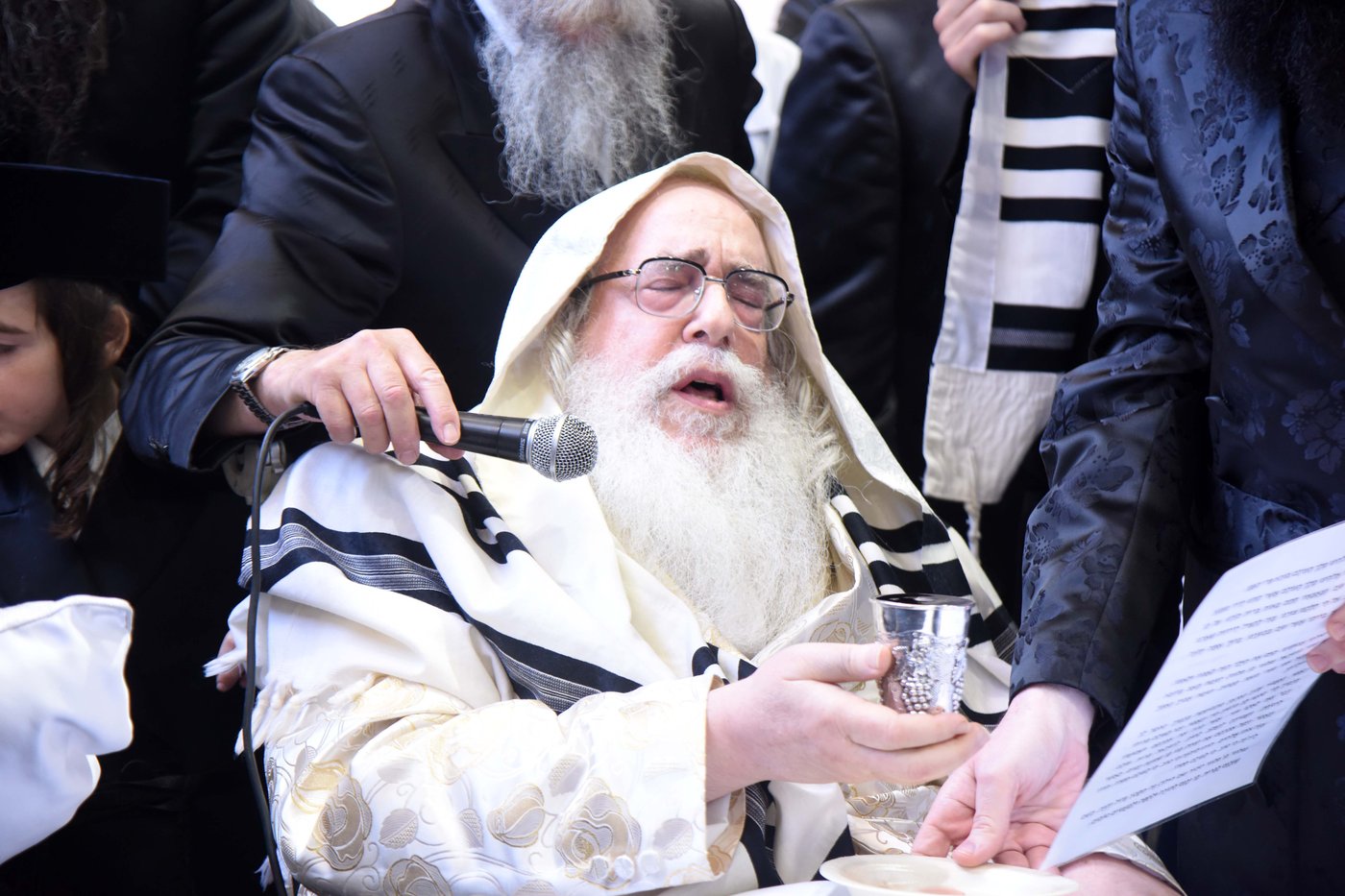 הגר"ח קנייבסקי - סנדק; האדמו"ר מצאנז כובד בברכות • צפו