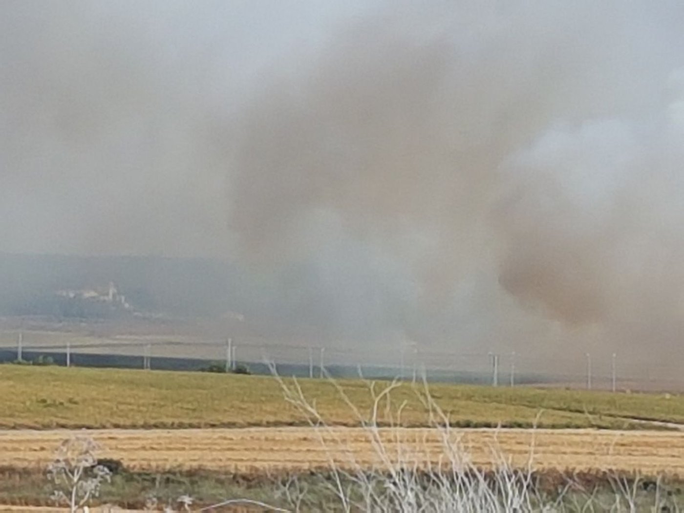 שריפת קוצים ליד כביש 1: תושבי משמר איילון פונו מבתיהם