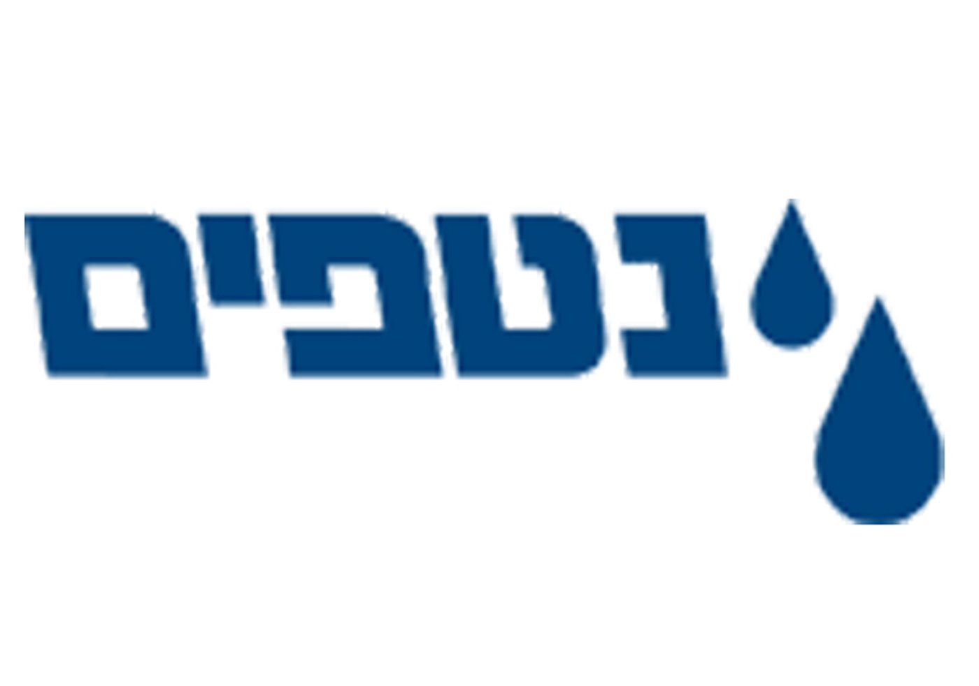 לוגו החברה