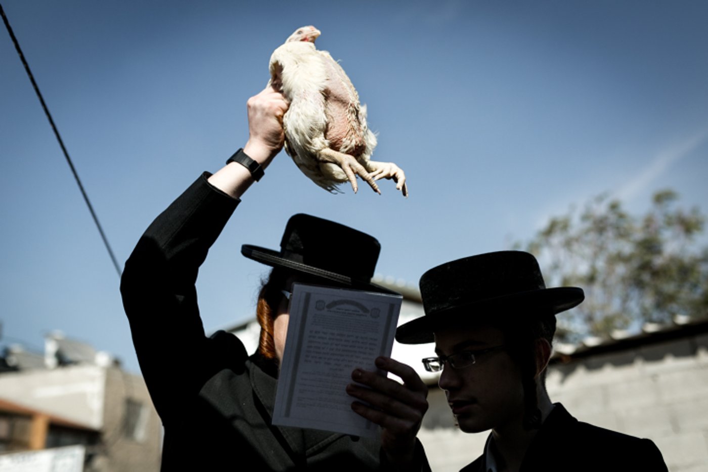 אילוסטרציה