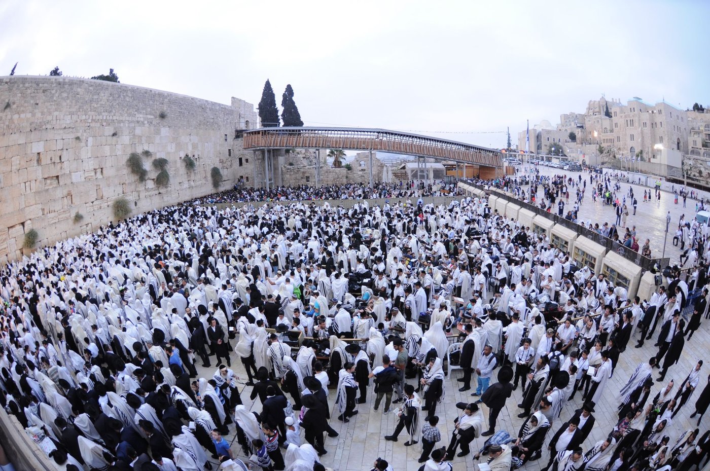 הילולת החפץ חיים: אלפים התפללו בכותל • צפו