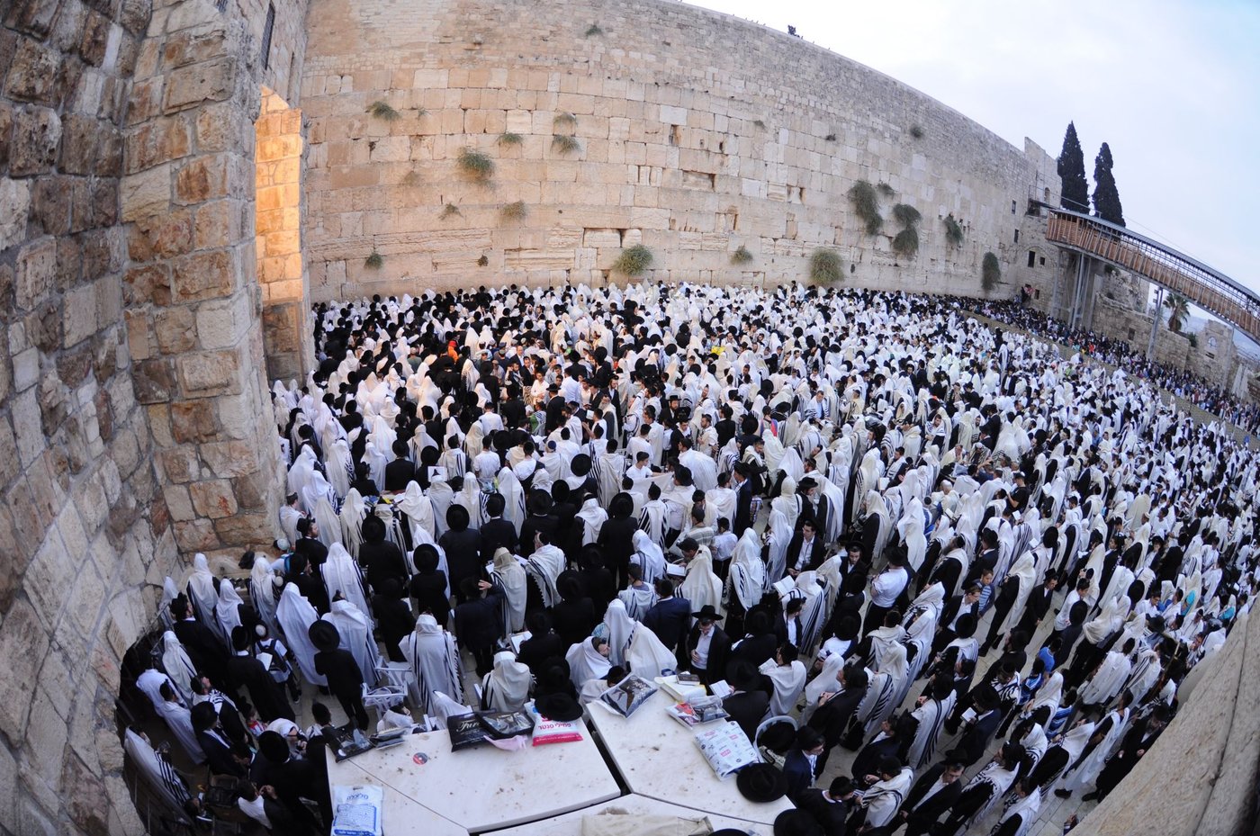 הילולת החפץ חיים: אלפים התפללו בכותל • צפו