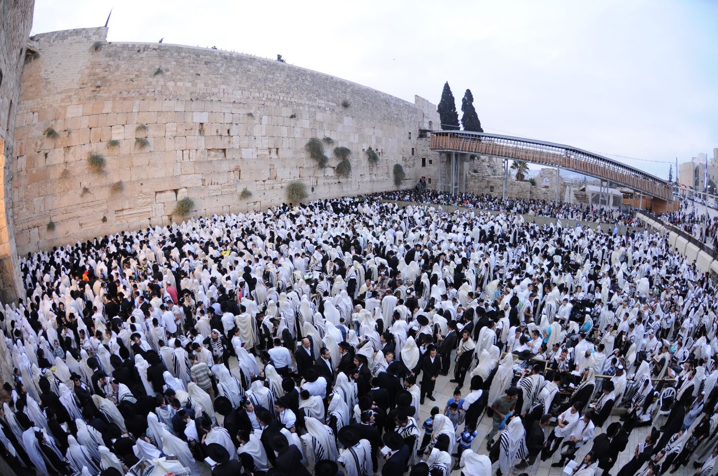 הילולת החפץ חיים: אלפים התפללו בכותל • צפו