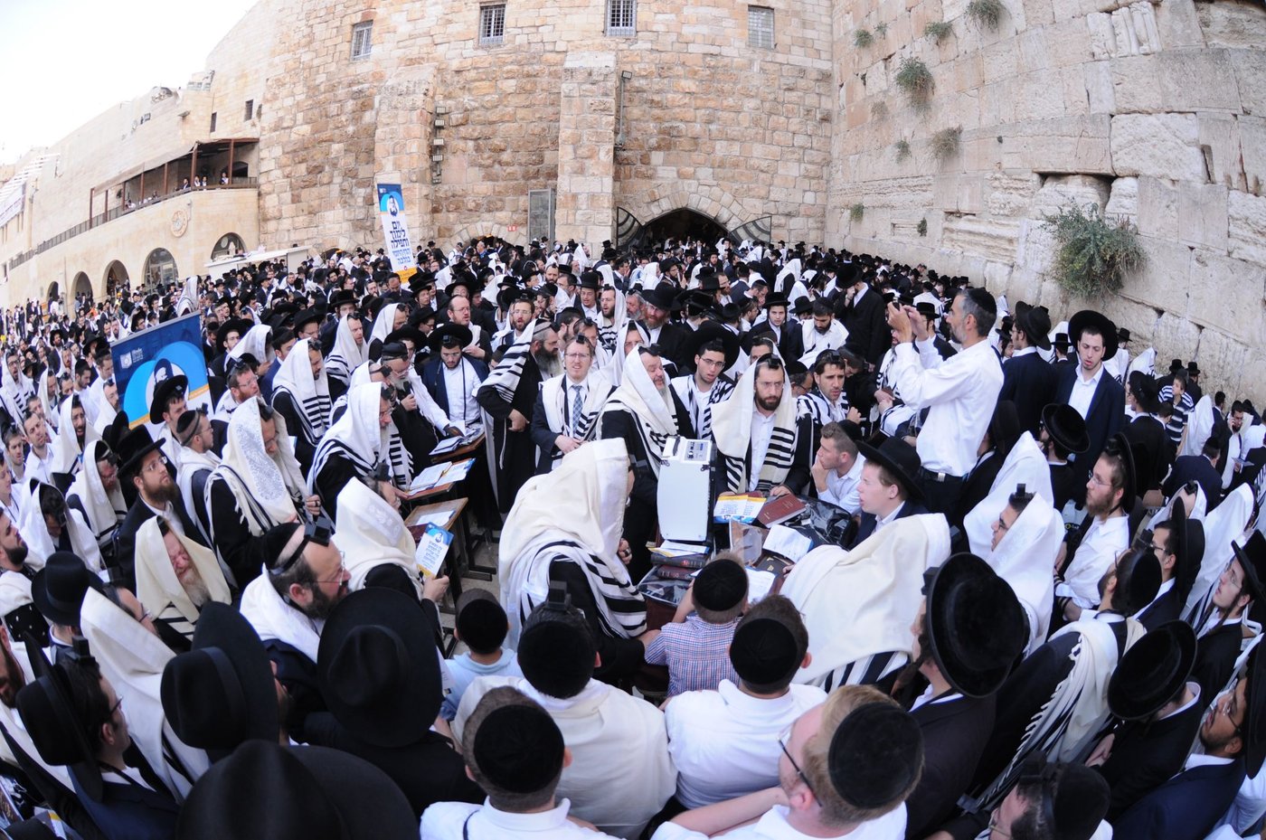 הילולת החפץ חיים: אלפים התפללו בכותל • צפו
