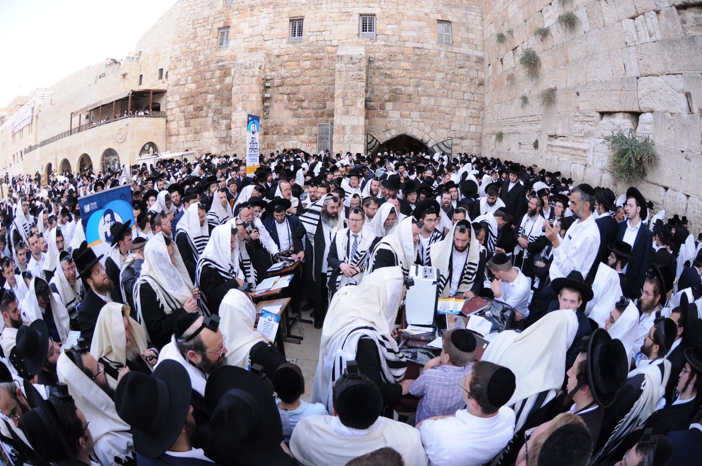 הילולת החפץ חיים: אלפים התפללו בכותל • צפו