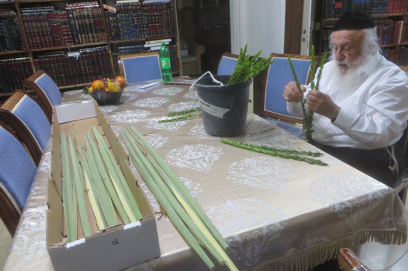הגרב"ד פוברסקי בבדיקת לולבים והדסים. צפו