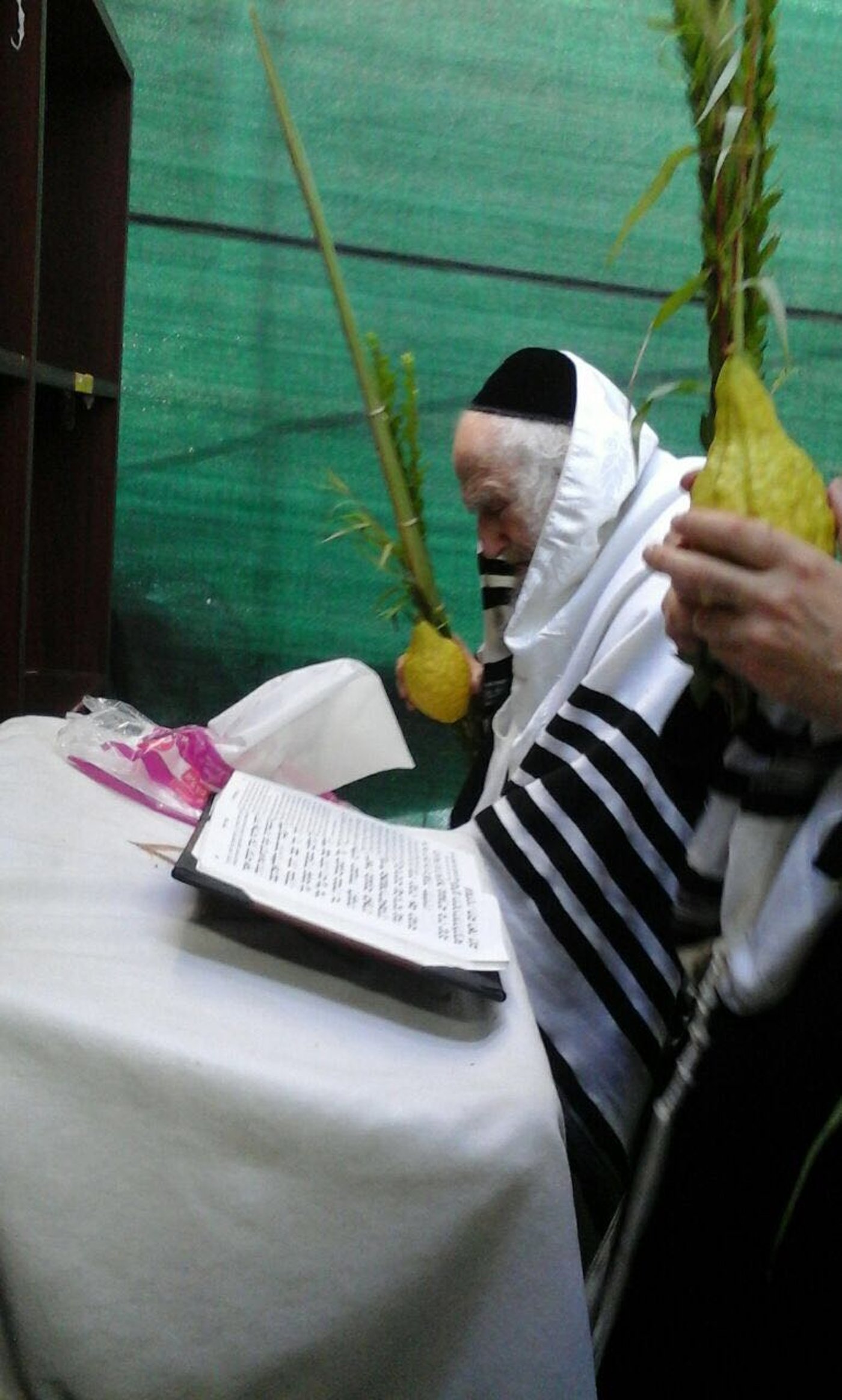 הגר"ש אוירבך בנטילת לולב ובהלל • צפו