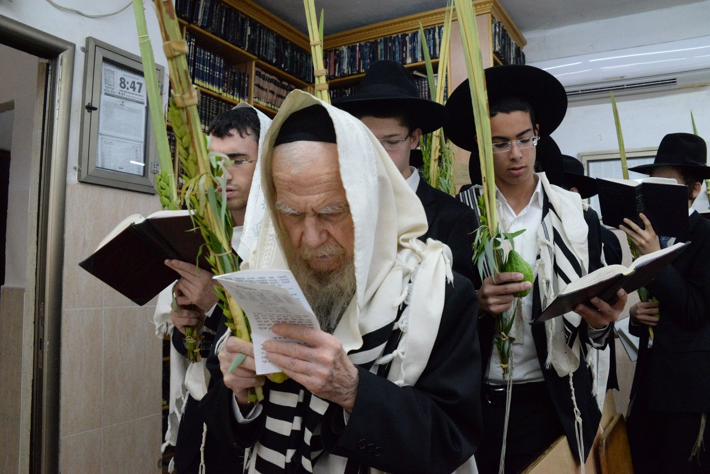 ראשי ישיבת פוניבז' בנטילת לולב • גלריה