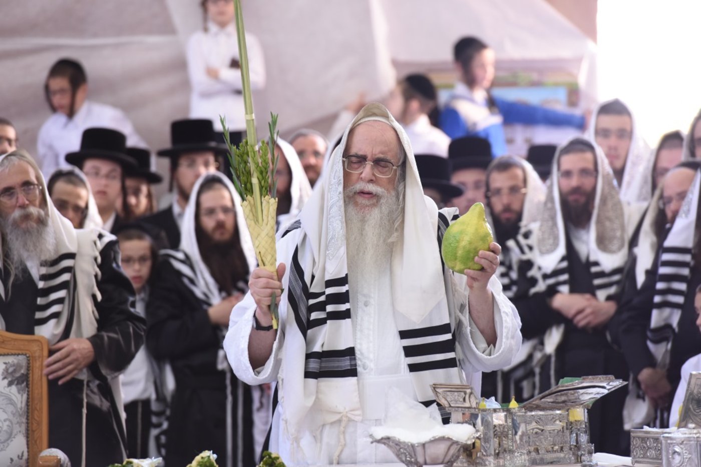 תיעוד מקיף: חג הסוכות בחצר הקודש צאנז