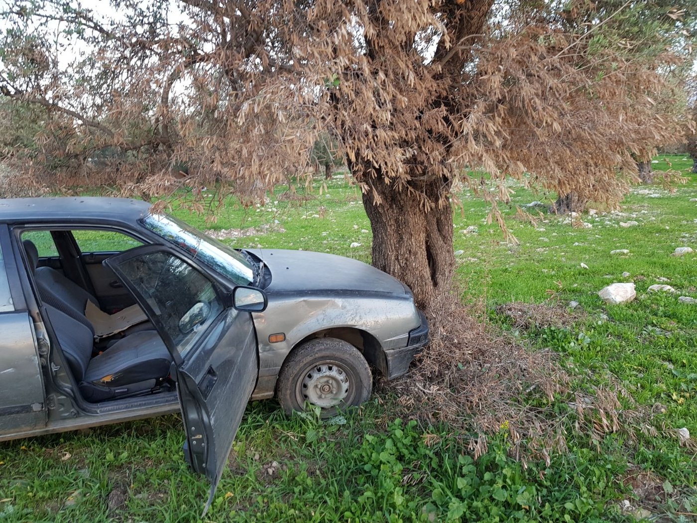 נלחמים בפשיעה: 150 קילו של אבוקדו גנוב