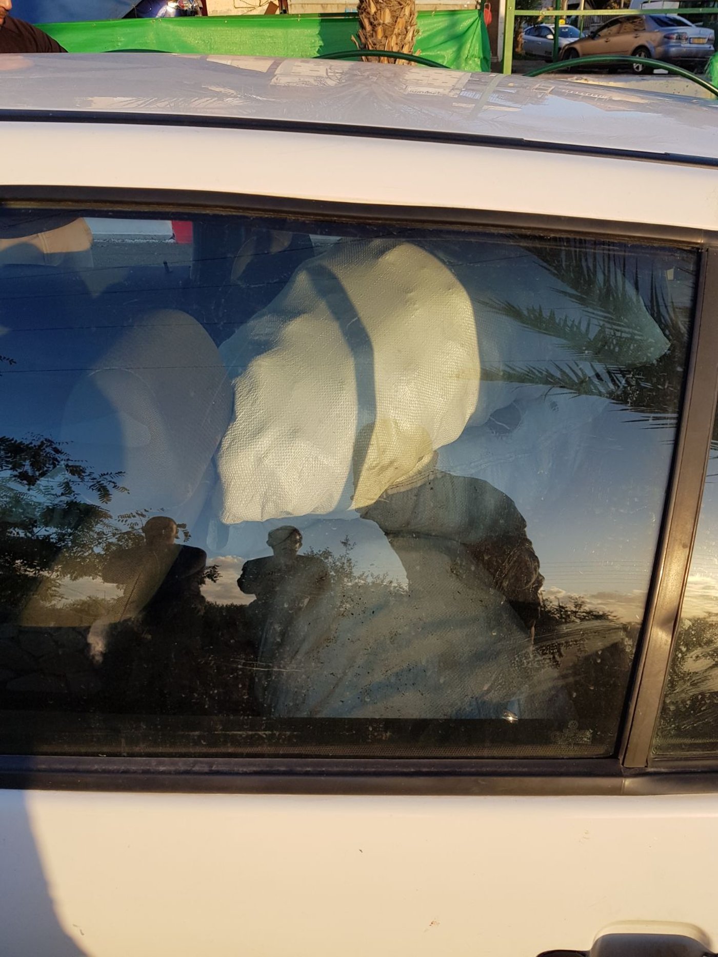נלחמים בפשיעה: 150 קילו של אבוקדו גנוב