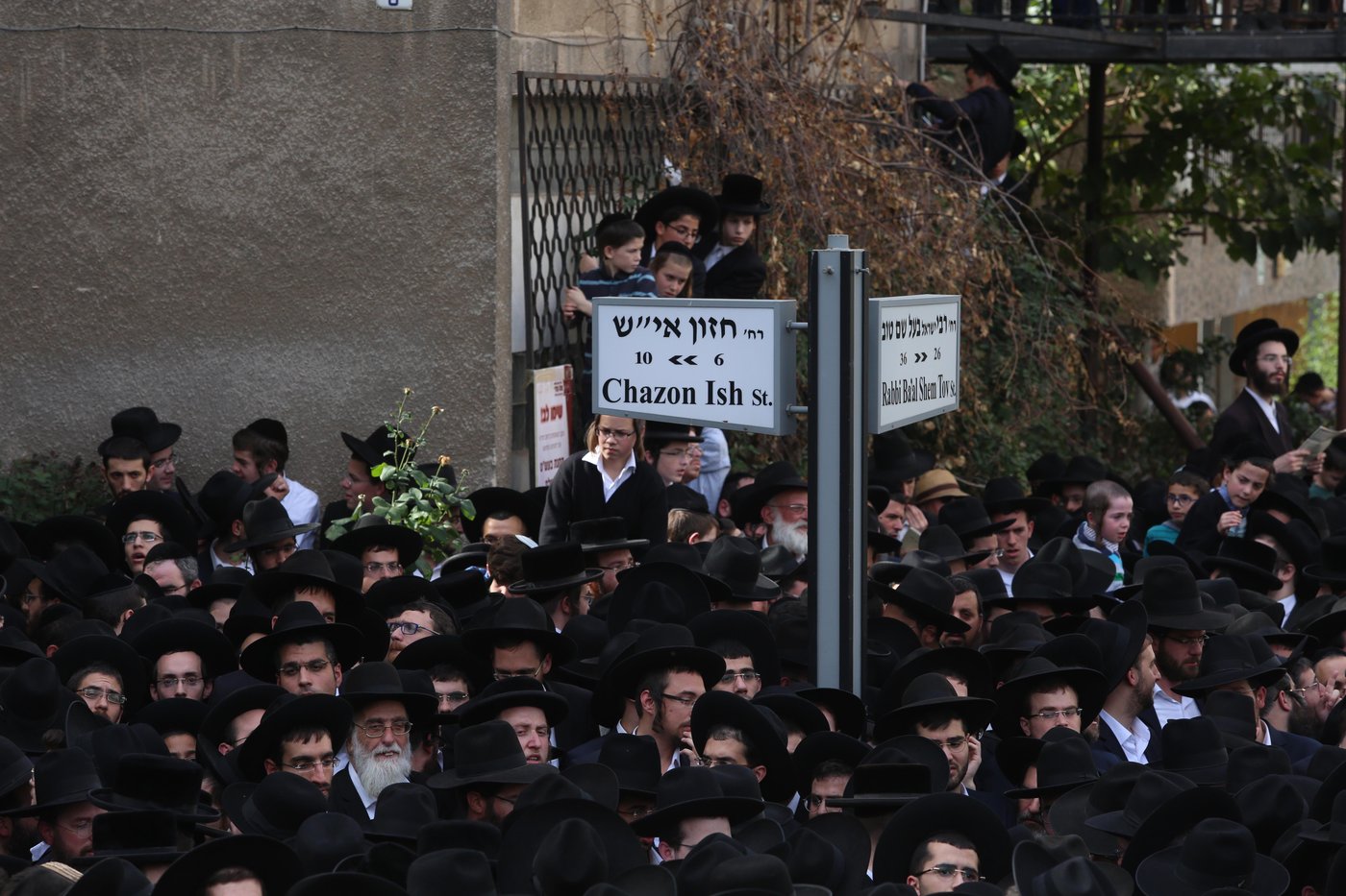 שש שעות, שישים תמונות: נפרדים ממרן הגראי"ל שטיינמן