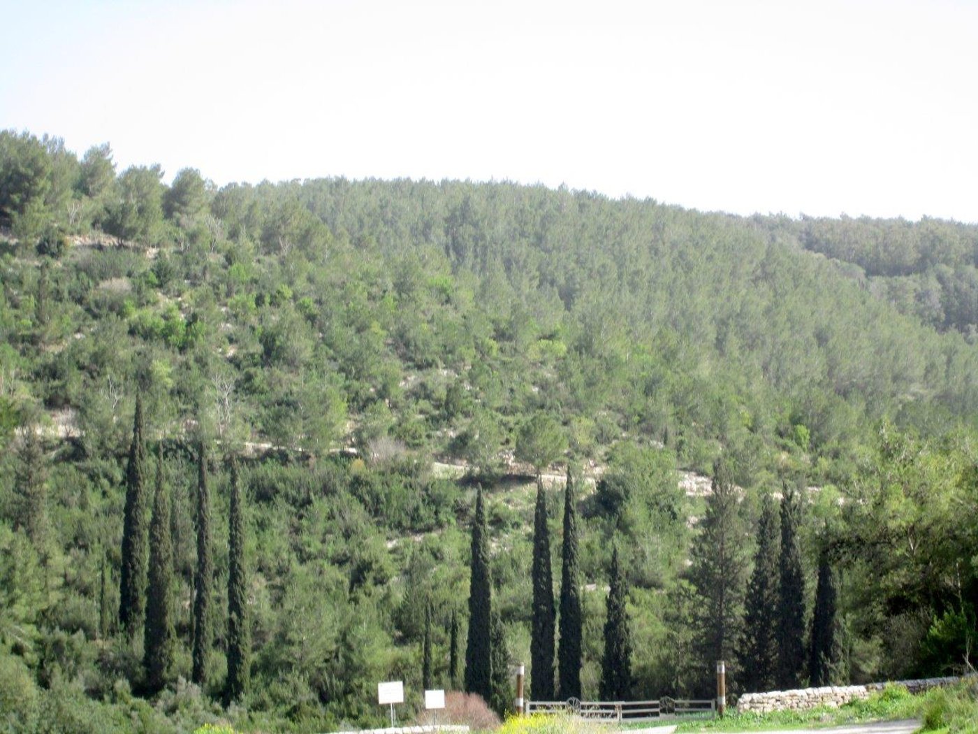 הכרמל, הגלבוע ועמק יזרעאל • תיעוד מרהיב