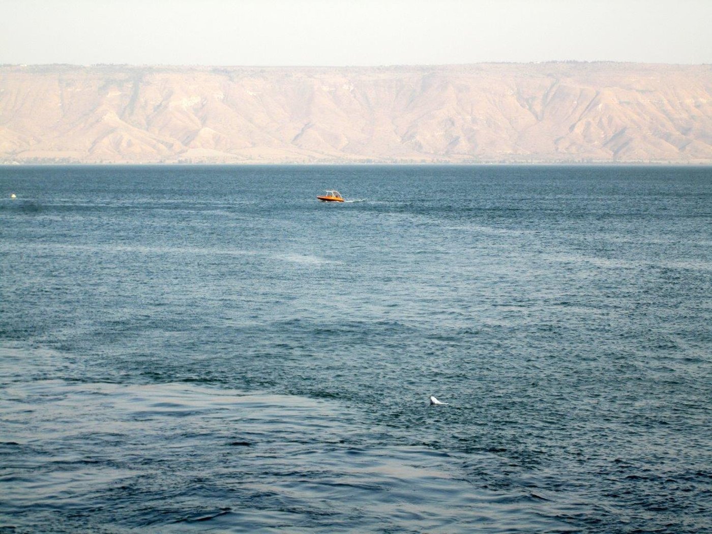 טיול מרהיב דרך עדשת המצלמה לגליל