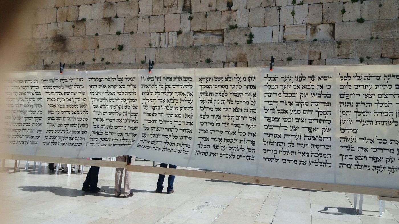 מגילת אסתר הגדולה בעולם הוצבה בכותל המערבי • צפו