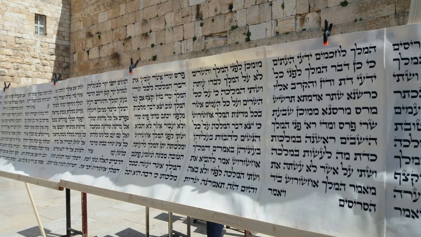 מגילת אסתר הגדולה בעולם הוצבה בכותל המערבי • צפו