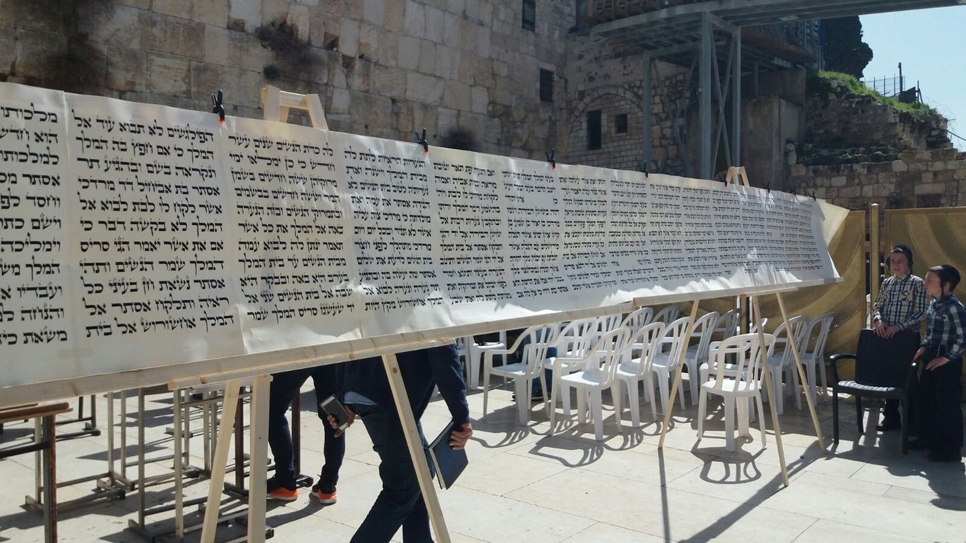 מגילת אסתר הגדולה בעולם הוצבה בכותל המערבי • צפו