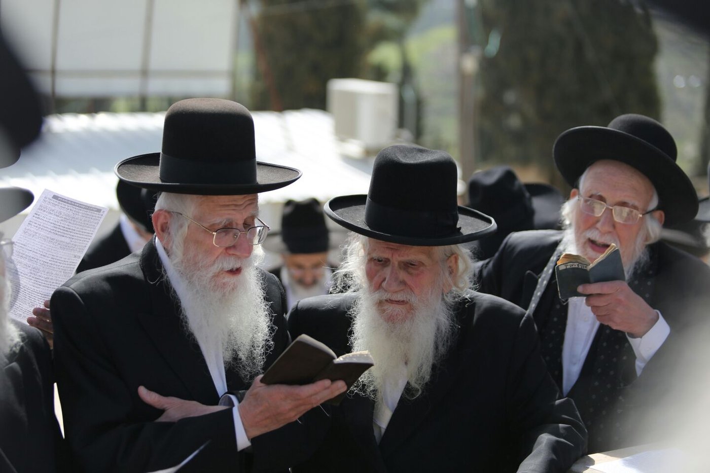 העליה לציון, הבוקר