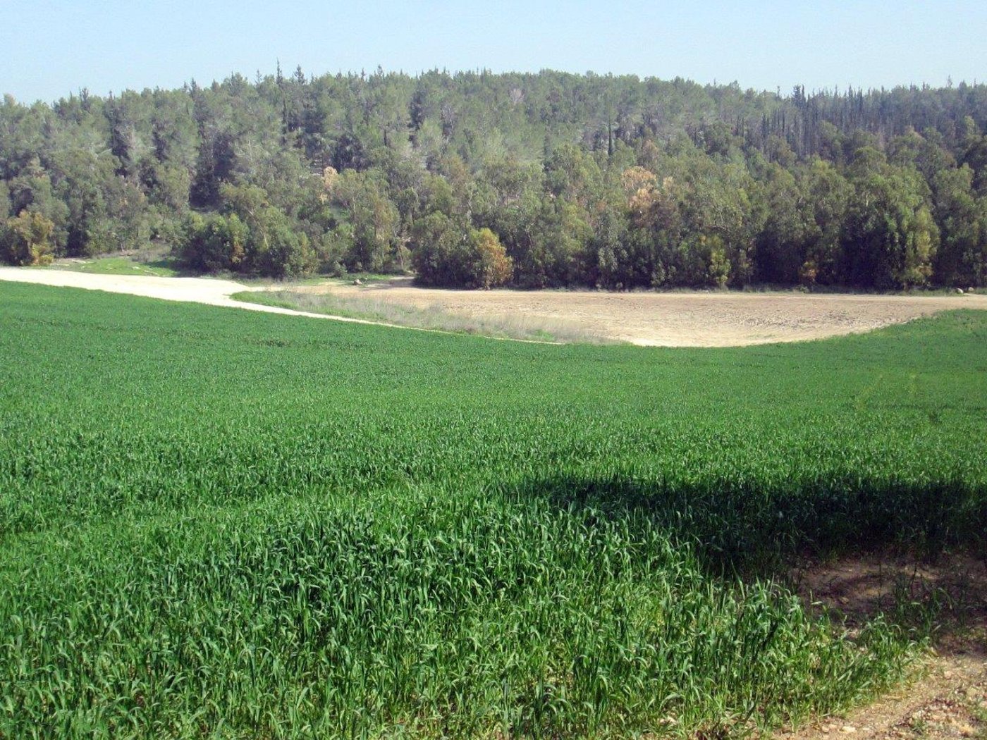 טיול דרך עדשת המצלמה לשפלת יהודה