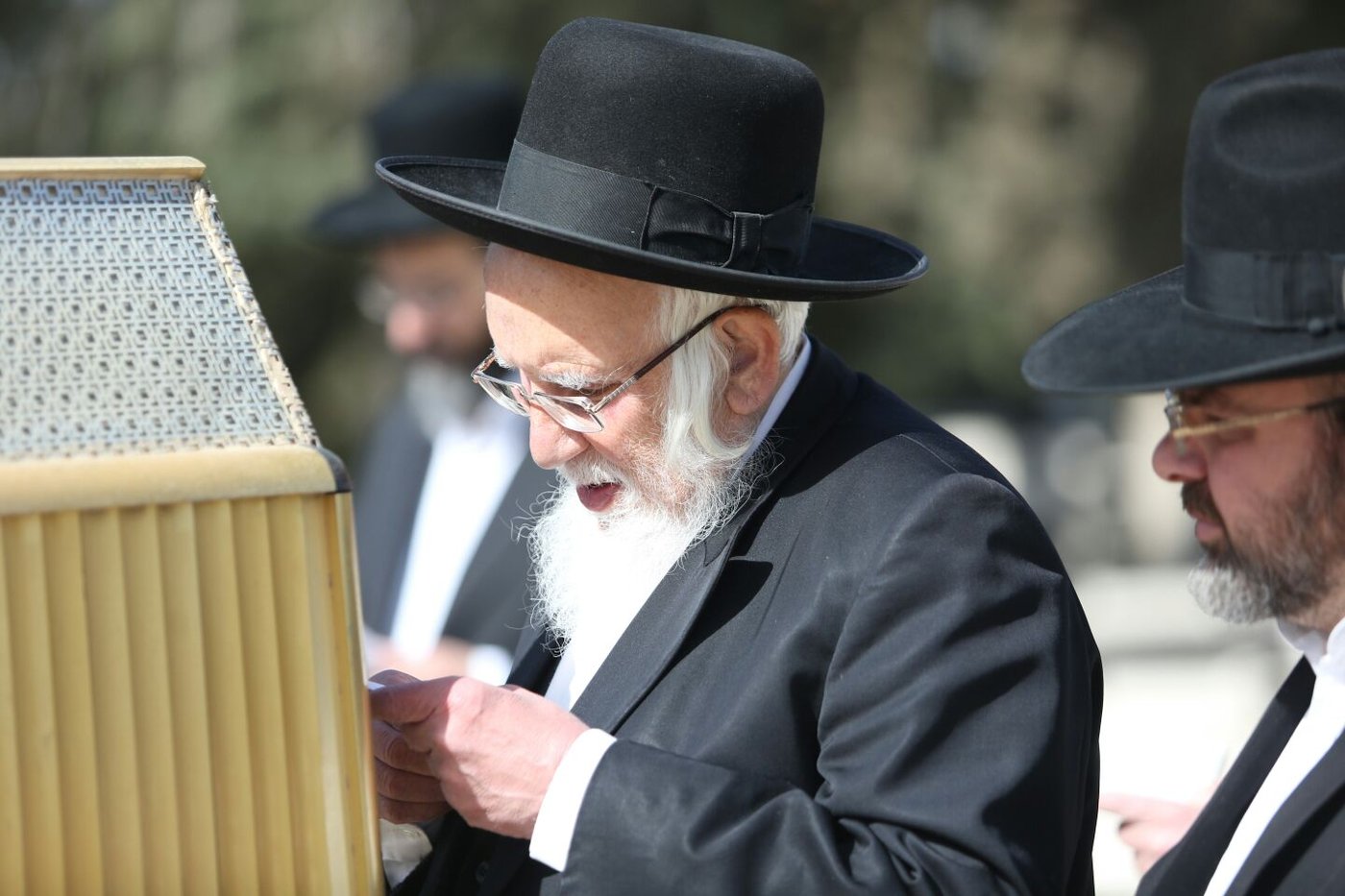 'שלושים' לגר"ש אוירבך: עלייה לציון וכתיבת ס"ת • גלריה