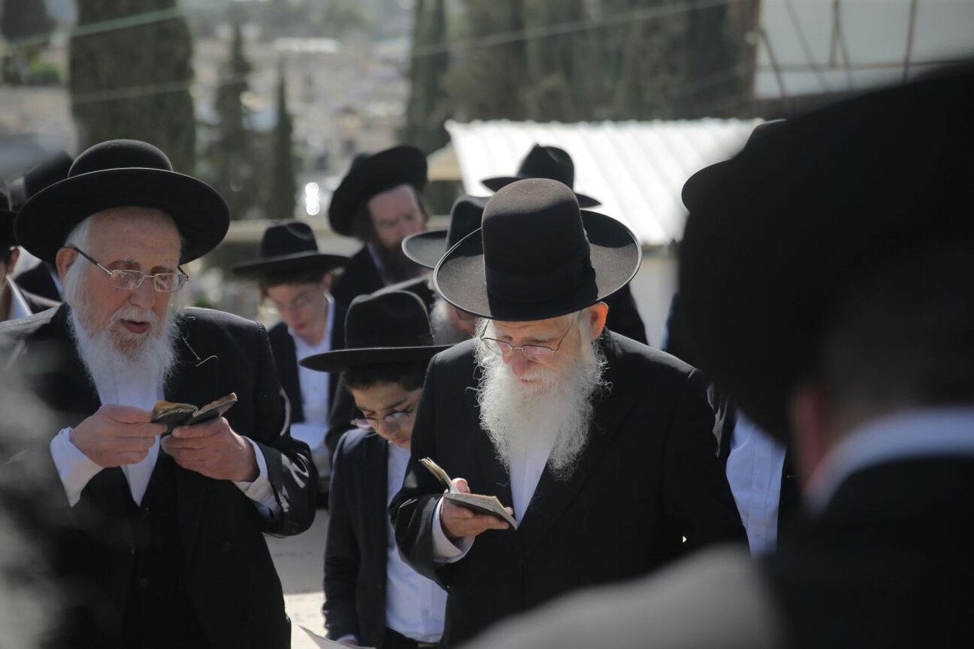 'שלושים' לגר"ש אוירבך: עלייה לציון וכתיבת ס"ת • גלריה