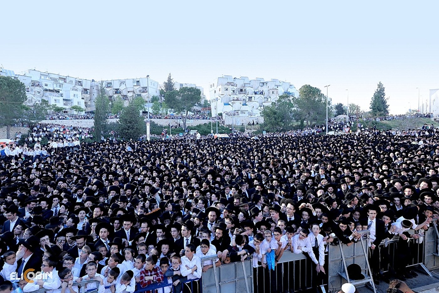 הקבלת פני הגר"ח קנייבסקי - בעדשה של אלי קובין