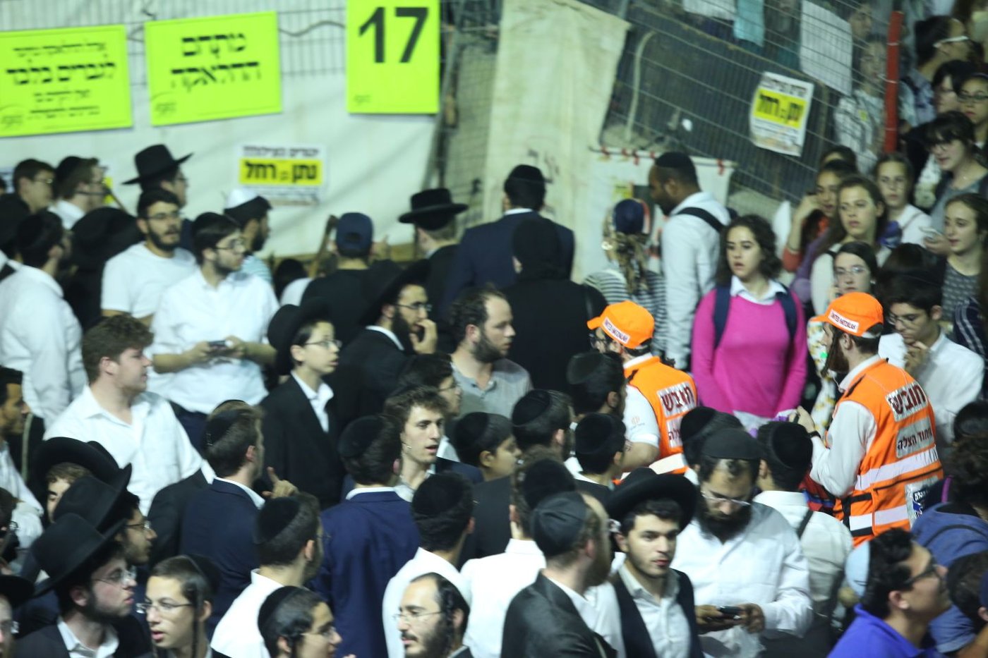 ההדלקה המרכזית של חסידות קרלין במירון • גלריה