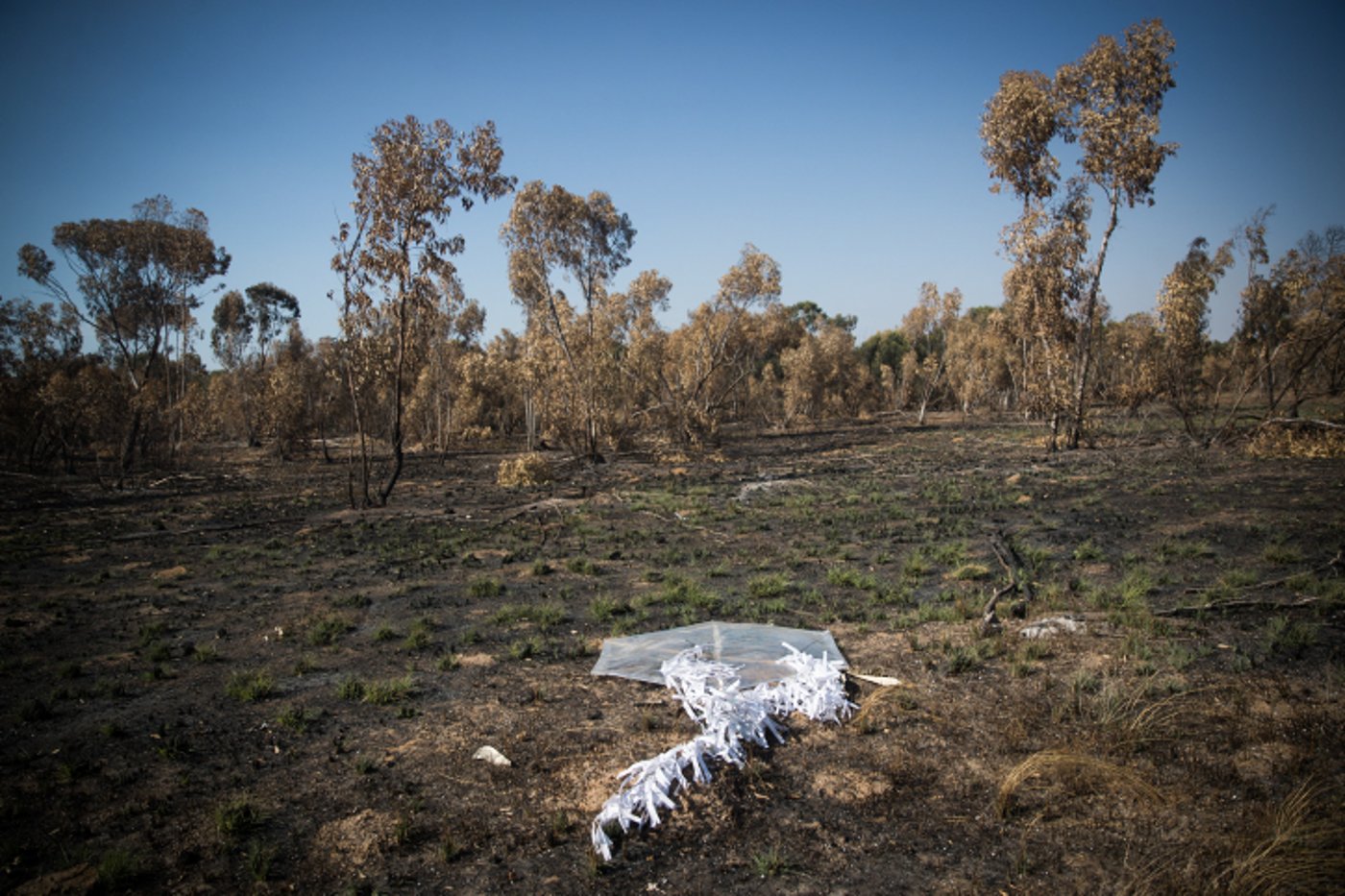 נאבקים באש: כך נראה טרור העפיפונים. צפו