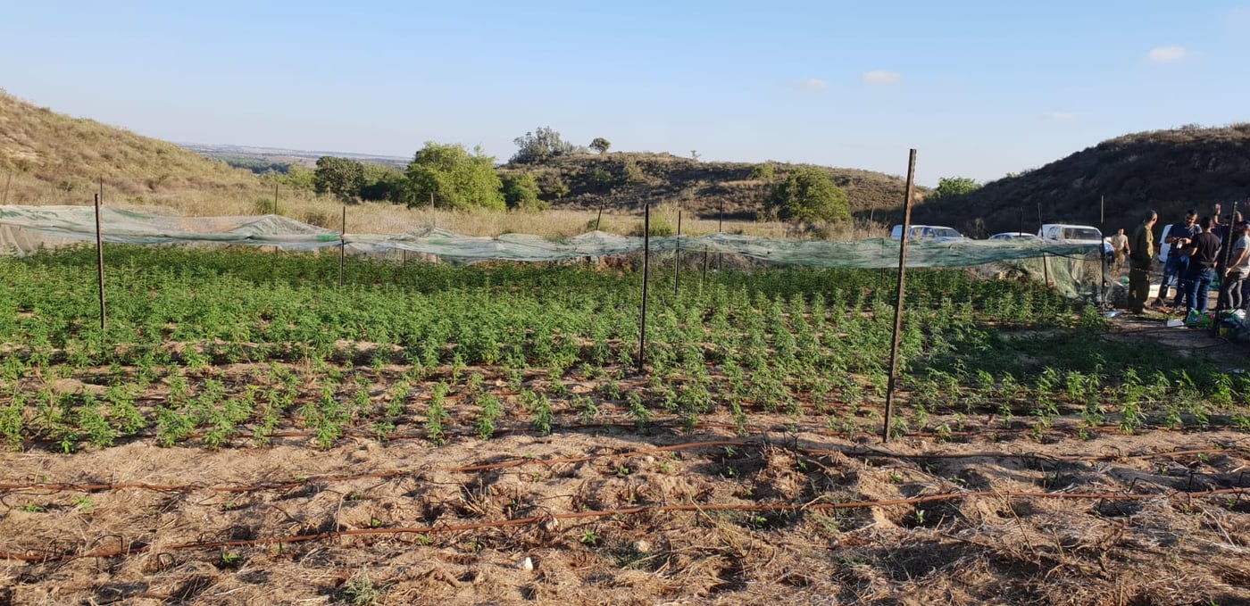 חממת המירחואנה נתגלתה מלאה ציוד גנוב