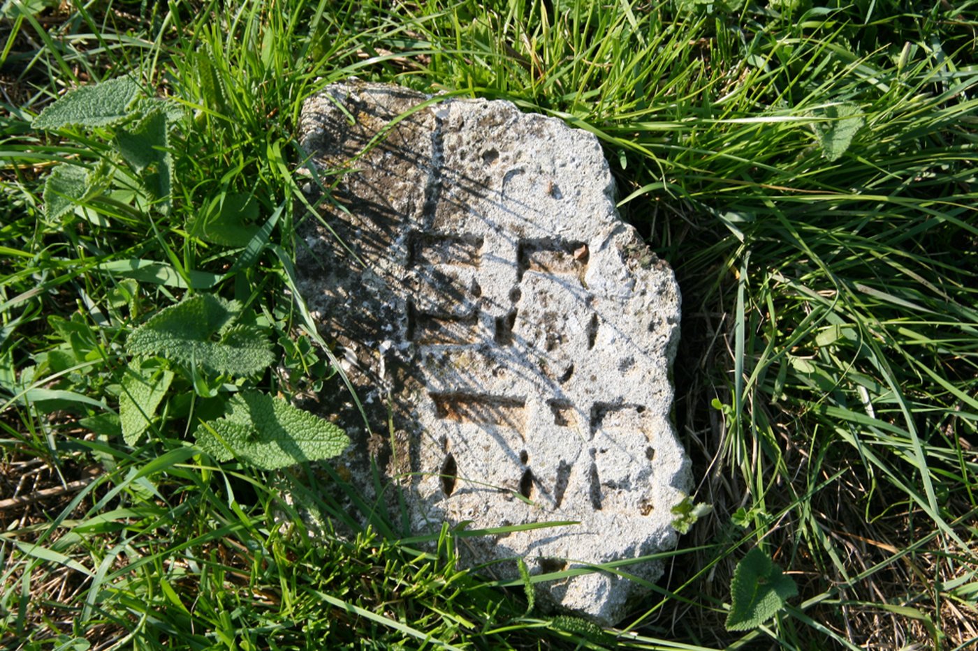 שברי מצבה במערב אוקראינה