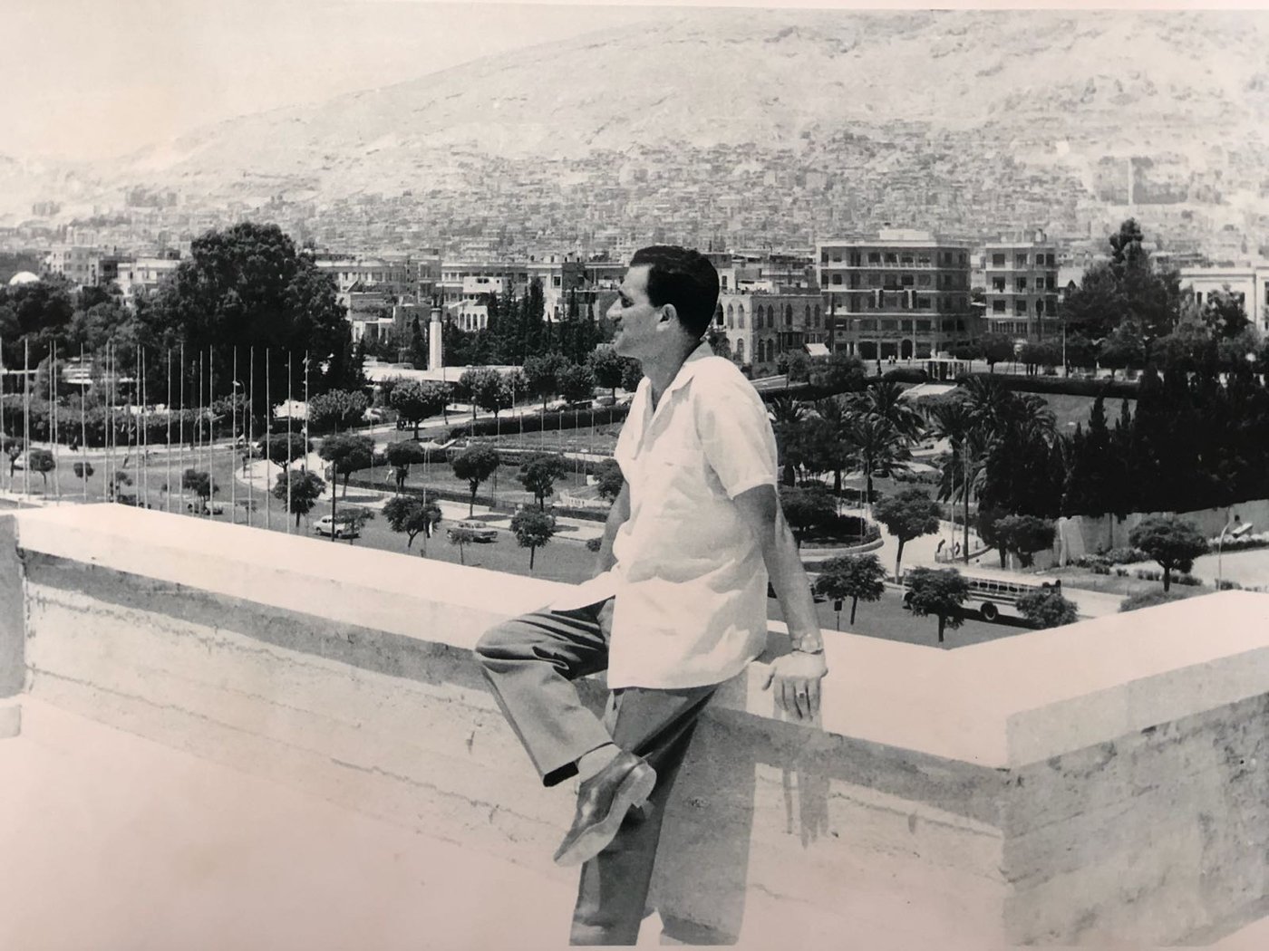 אלי כהן