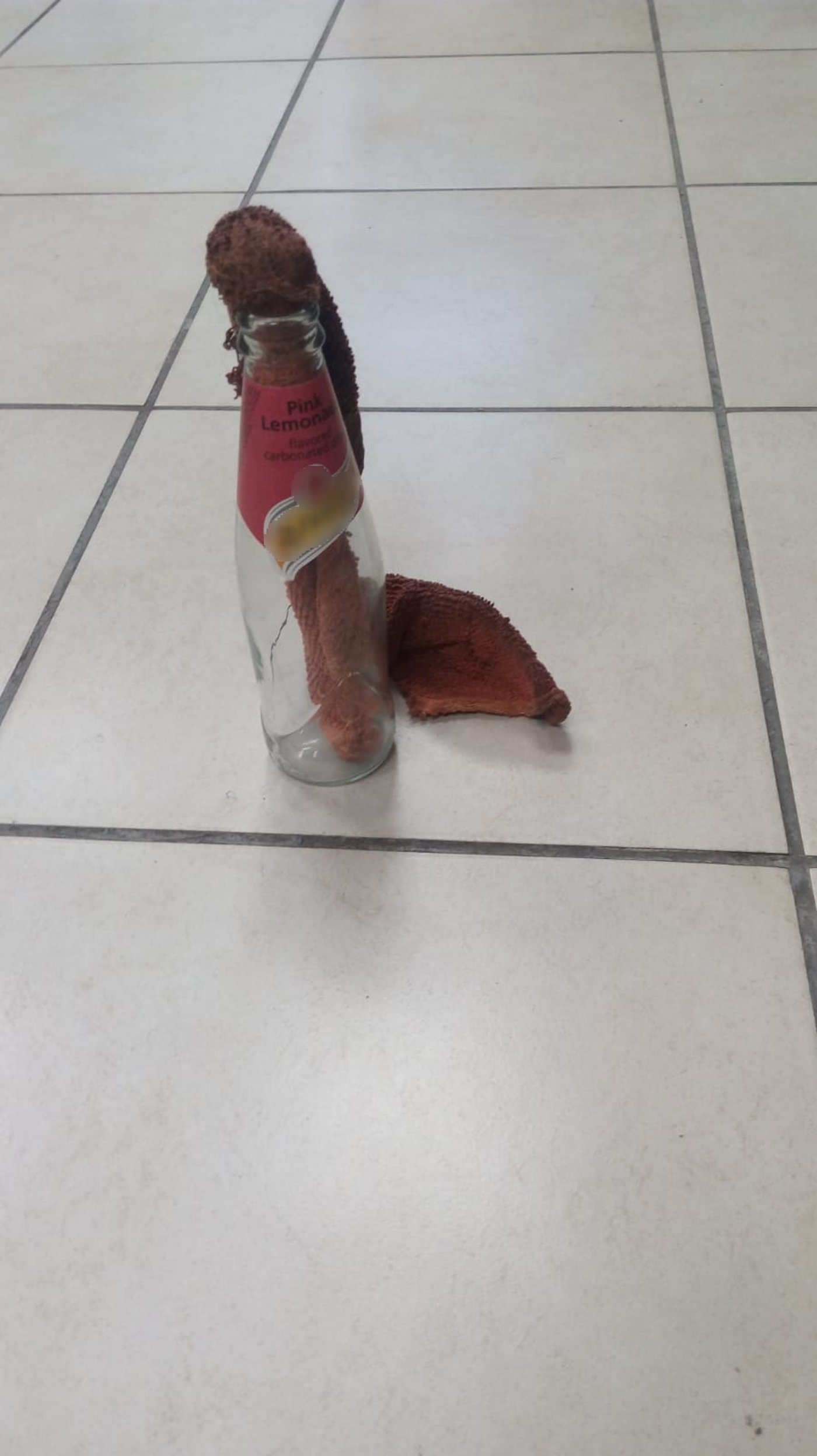 אחד הבקבוקים שנתפסו.
