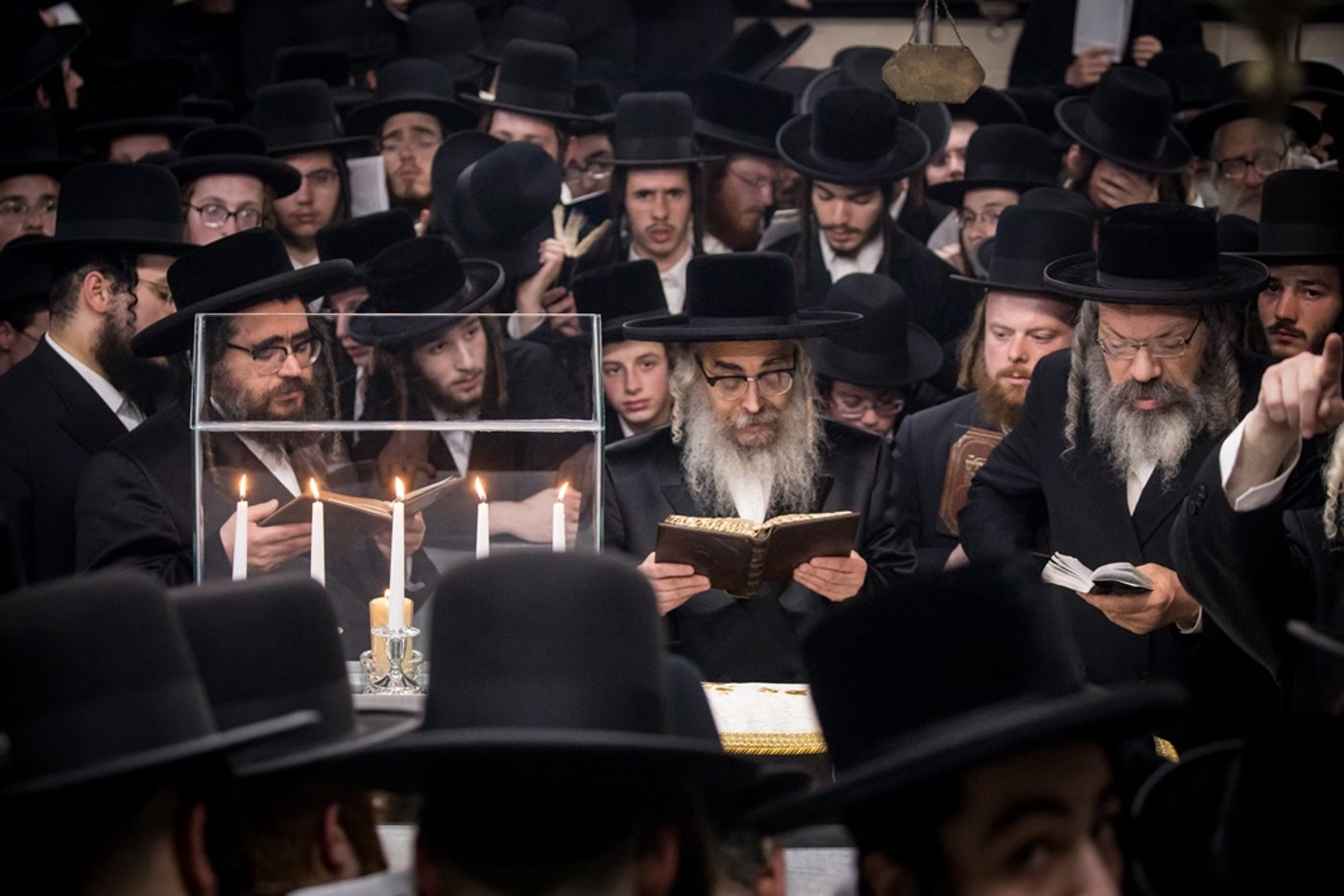 הילולת ה'דברי יואל' זצ"ל בסאטמר • גלריה