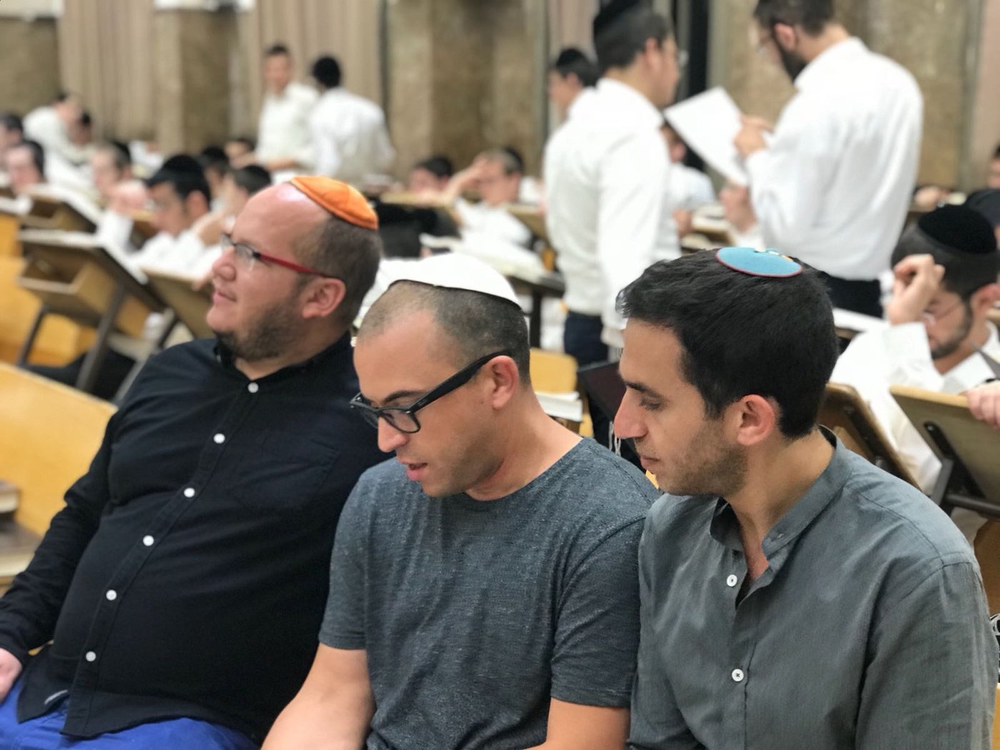 הגיע לטשולנט והתחבר לאלול: כבל בפוניבז'