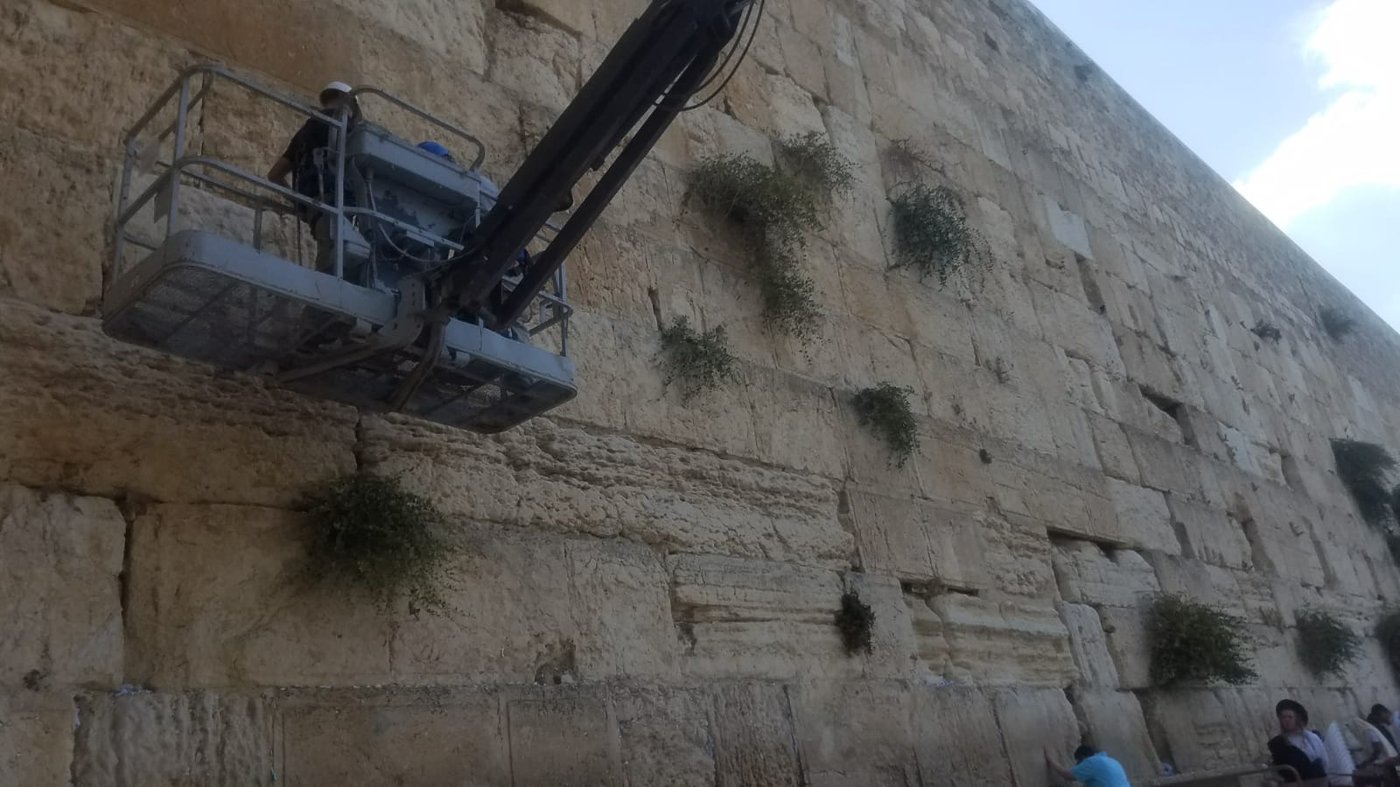 לאחר הנפילה: אבני הכותל המערבי נבדקות