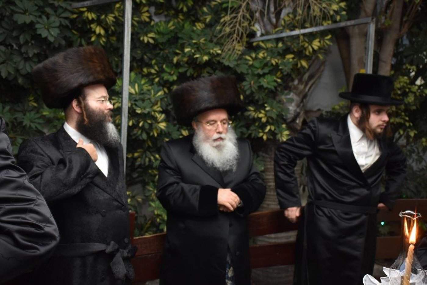 שמחת החתונה בחצרות ערלוי - קומרנא. צפו