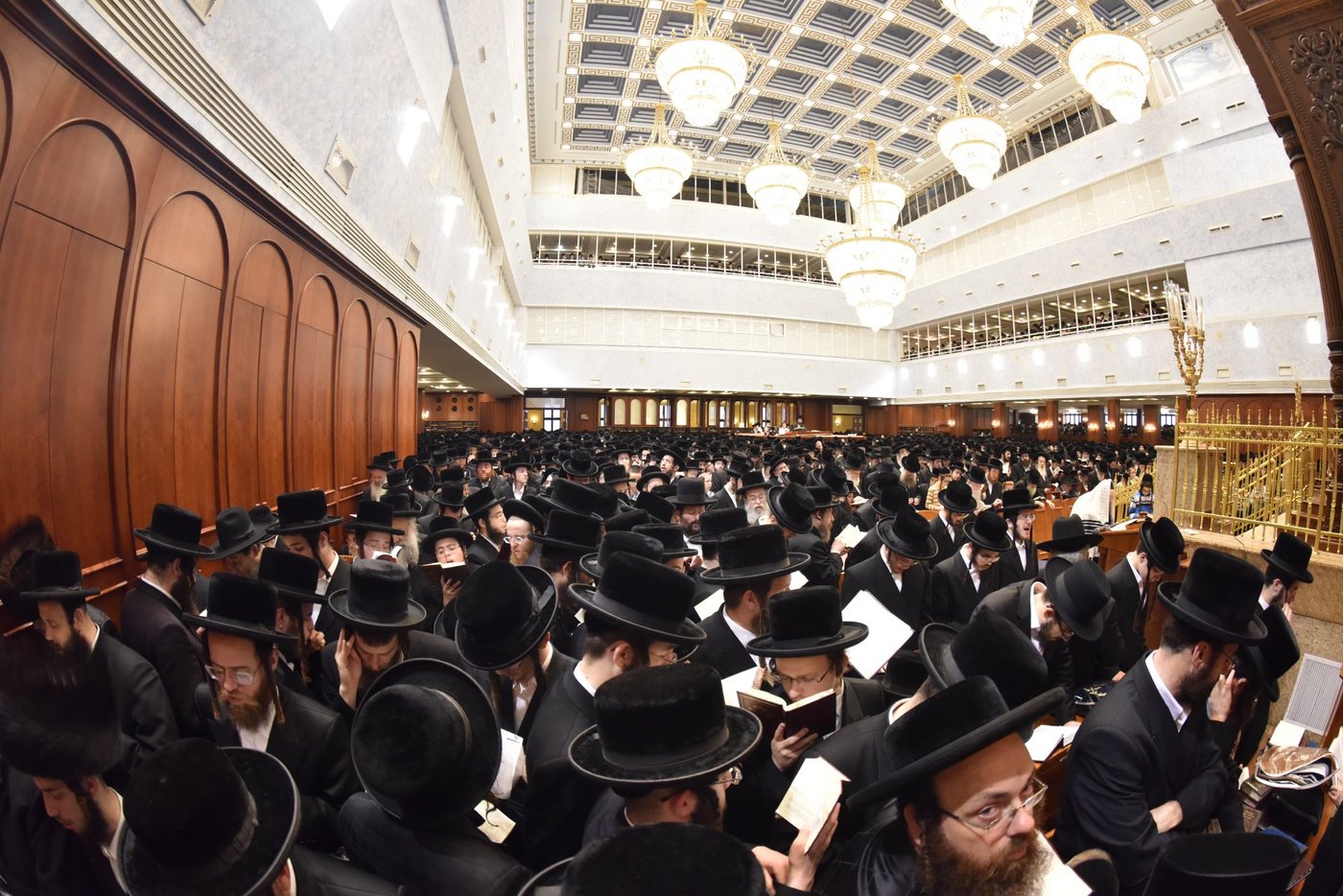 א' דסליחות בחצר הקודש בעלזא • תיעוד