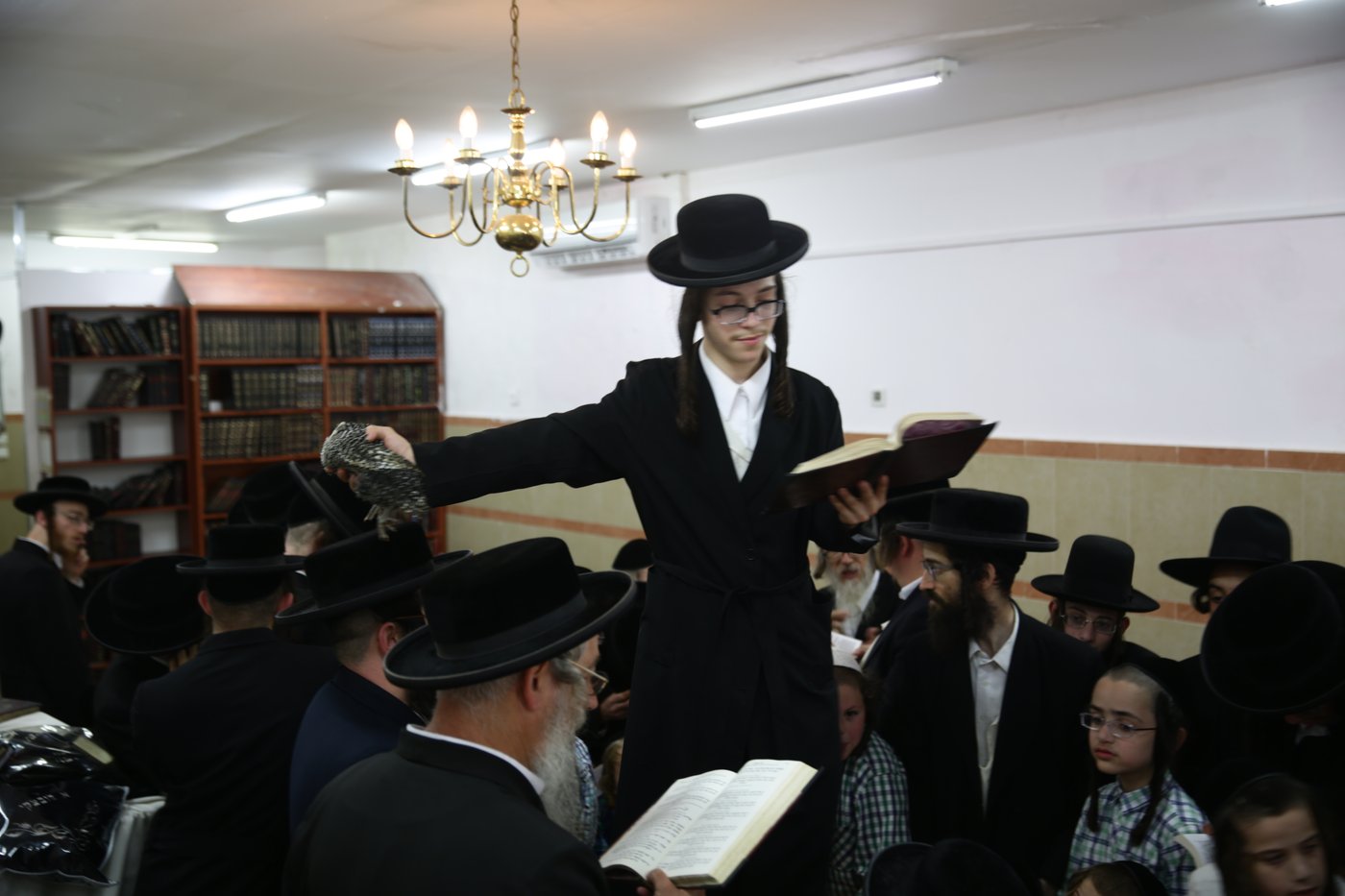 נטורי קרתא ערכו כפרות על עוף ה'בראקל'