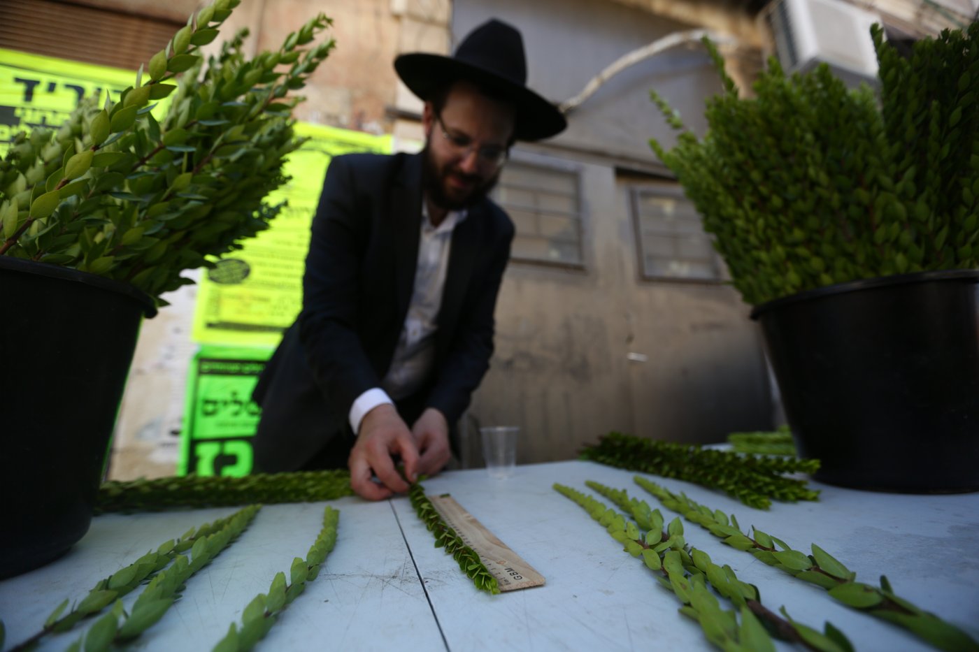 ד' מינים כבר יש לכם? גלריה מהשוק הסואן
