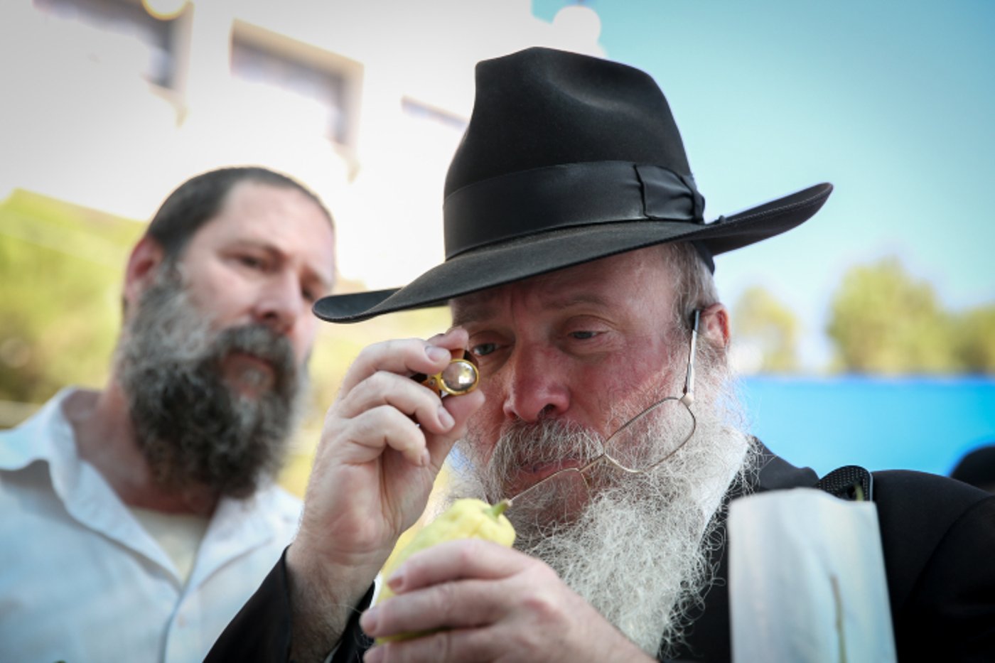 אילוסטרציה,
