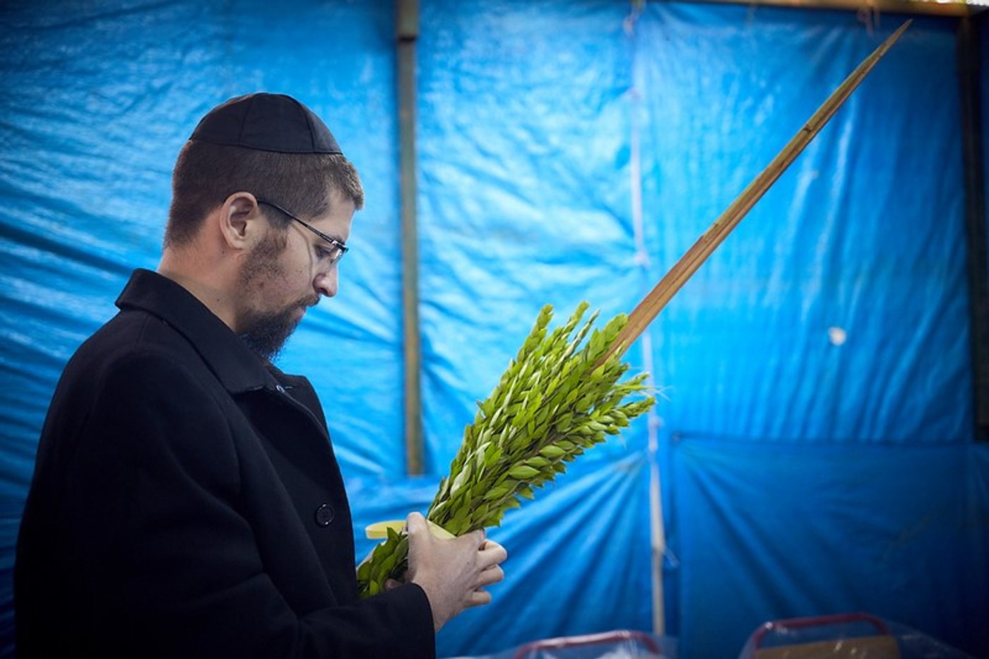 כך נראה חג הסוכות במוסקבה. גלריה