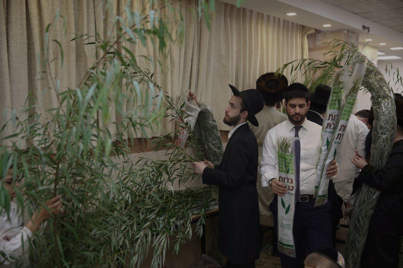 קול מבשר מבשר ואומר: הערבות מוכנות