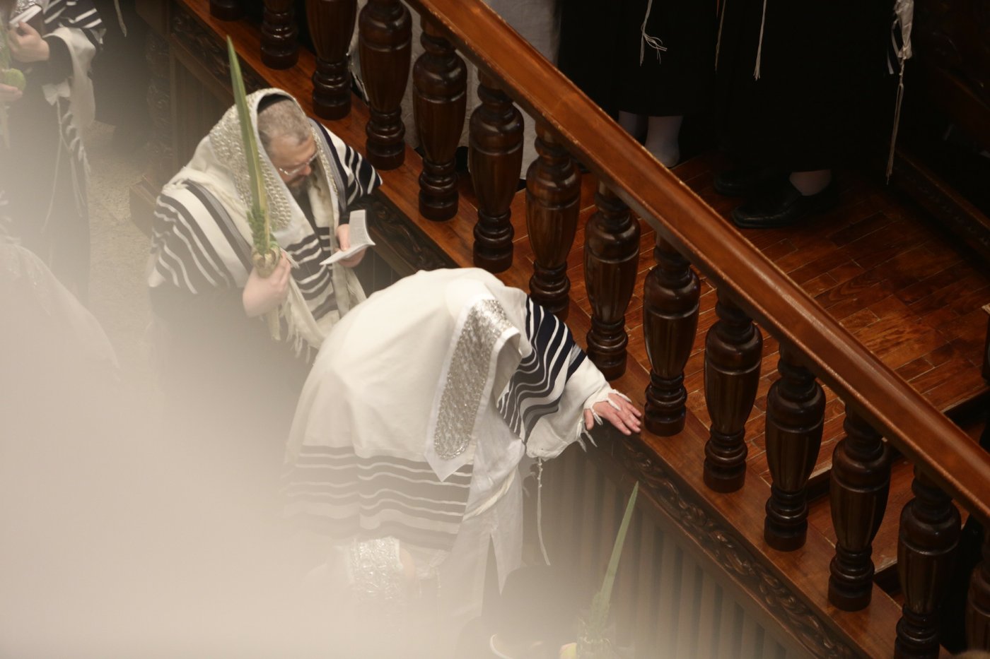 הושענא רבה בחצר הקודש בעלזא • תיעוד