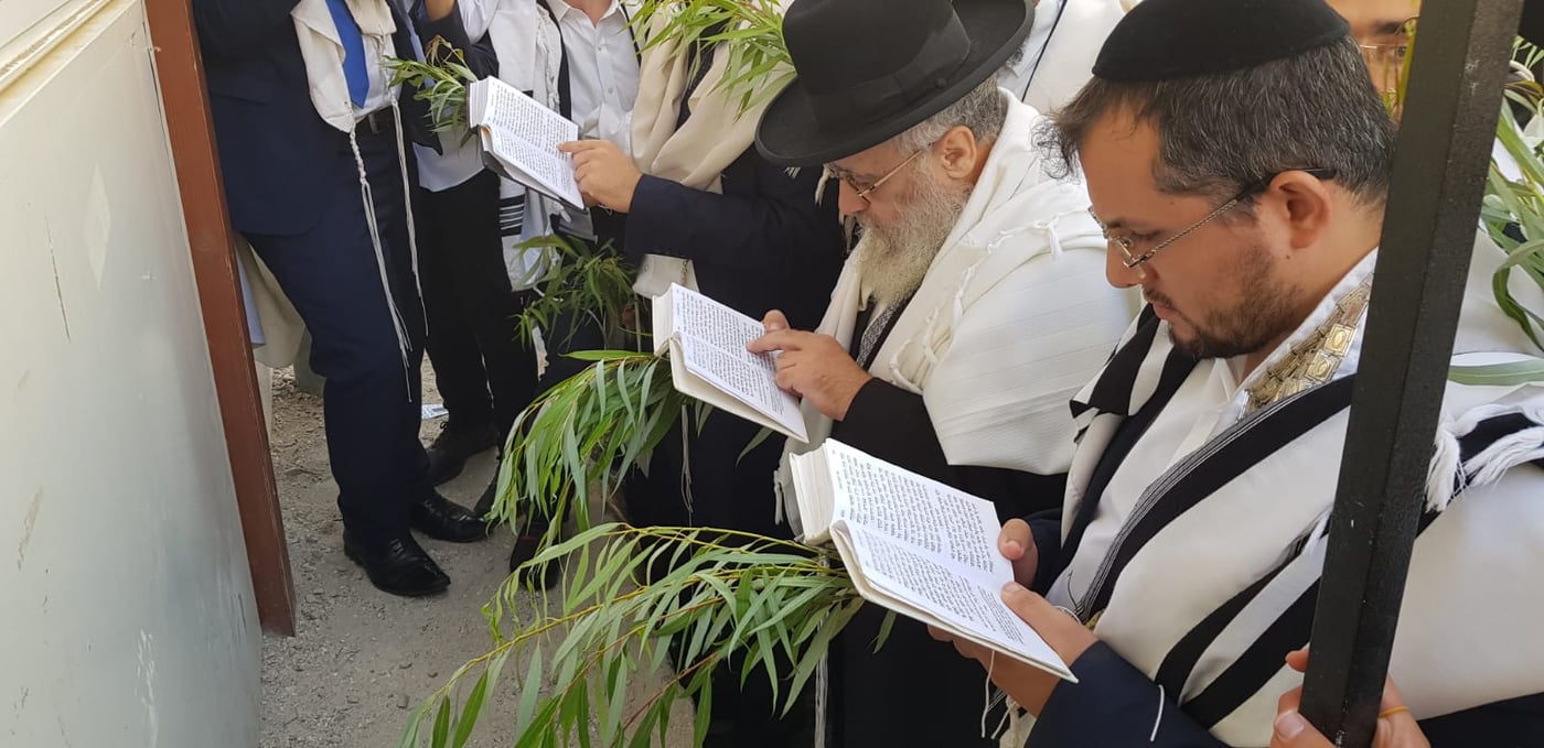 תיעוד: הושענא רבא במעונם של הראשונים לציון