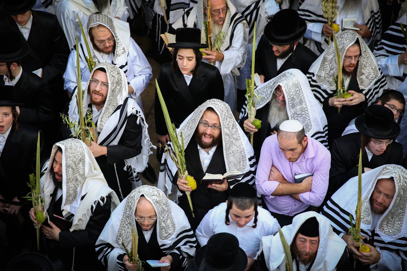 צפו בתיעוד: הושענא רבה במירון ובצפת