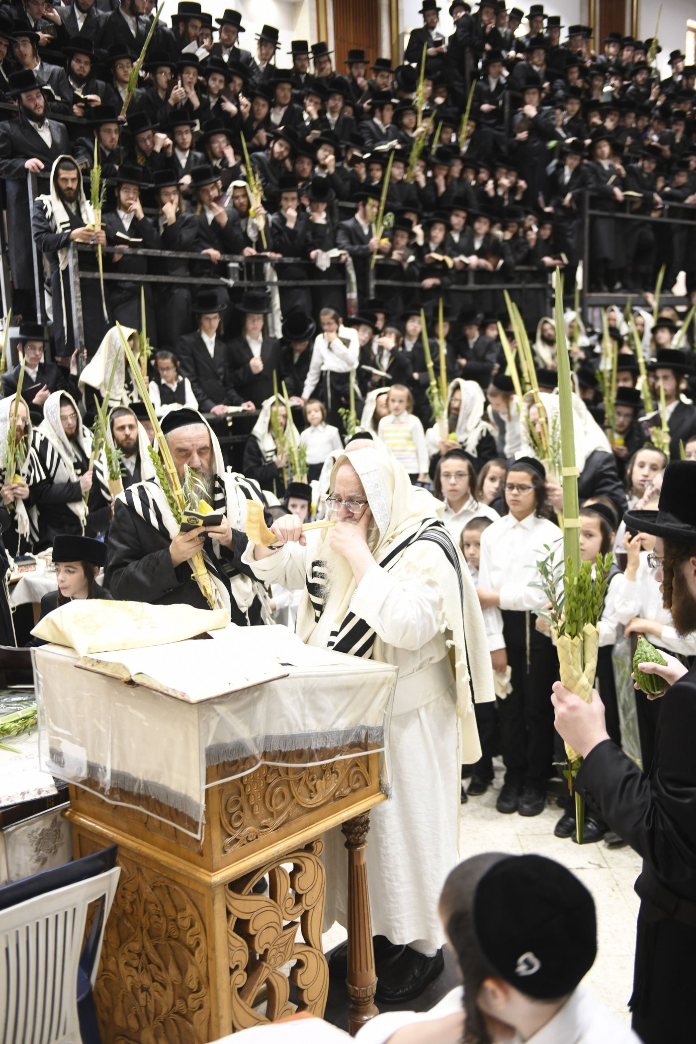 זריקת התפוחים וההקפות: "שמחת תורה" בצאנז
